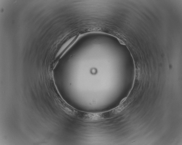 X0000057090093200509301602