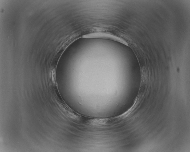 X0000057090094200509301602