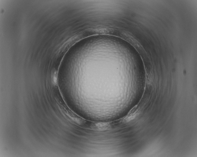 X0000057090095200509301602