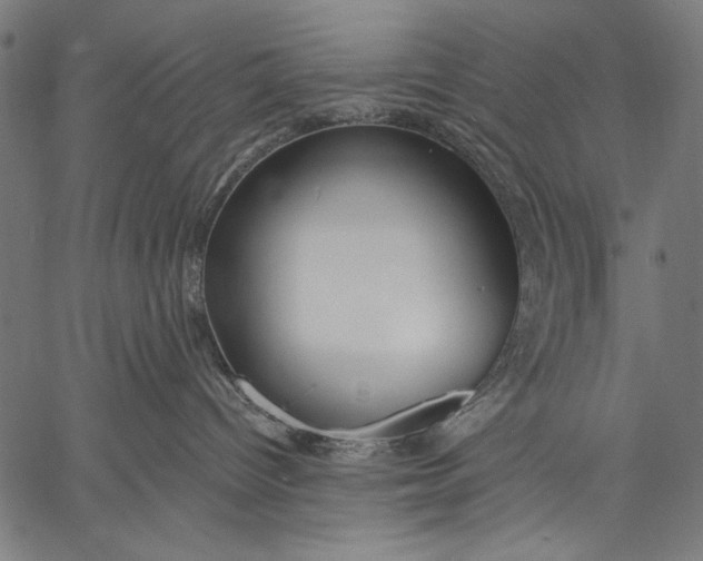 X0000057090096200509301602