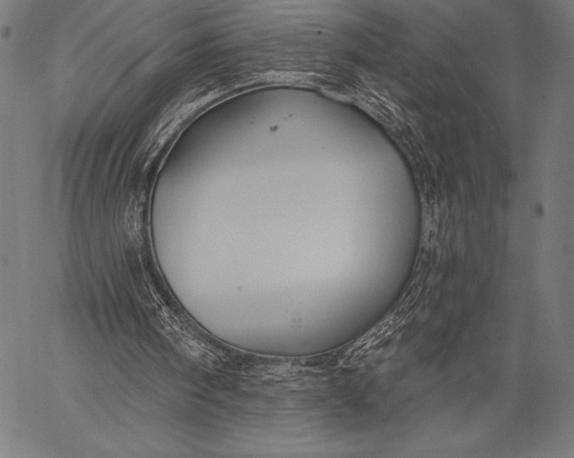 X0000057090098200509301601