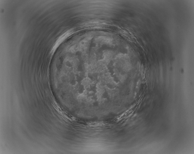 X0000057090099200509301601