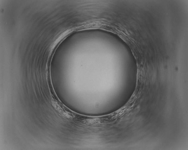 X0000057090100200509301601