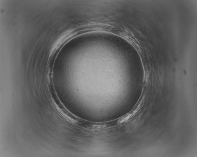 X0000057090101200509301601