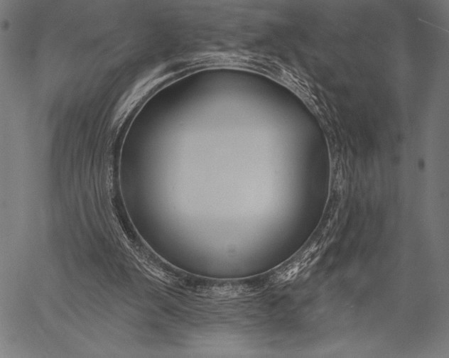 X0000057090103200509301601