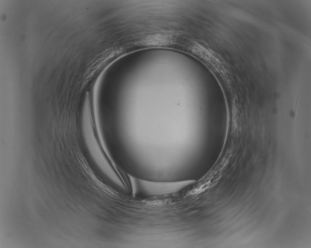 X0000057090105200509301601