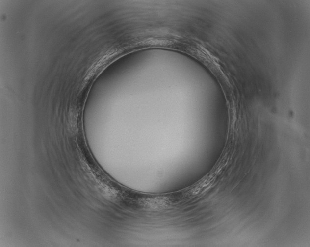 X0000057090106200509301601