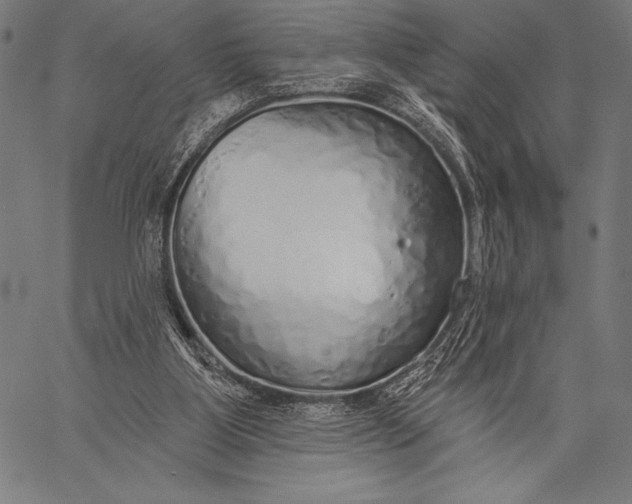 X0000057090107200509301601