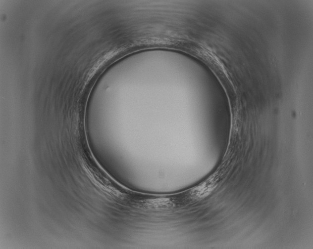 X0000057090108200509301601