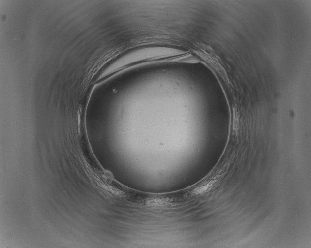 X0000057090109200509301601