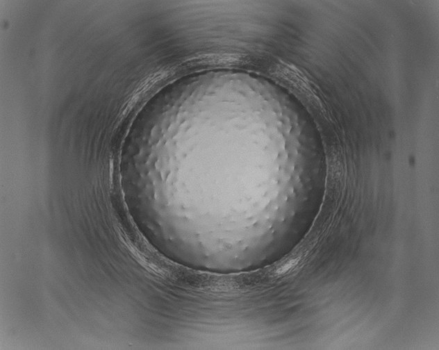 X0000057090110200509301601