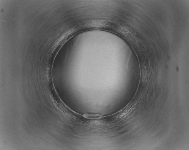 X0000057090111200509301601