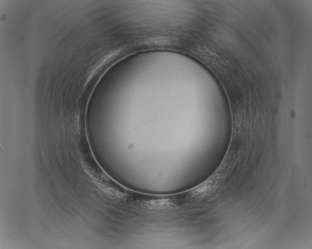 X0000057090112200509301601