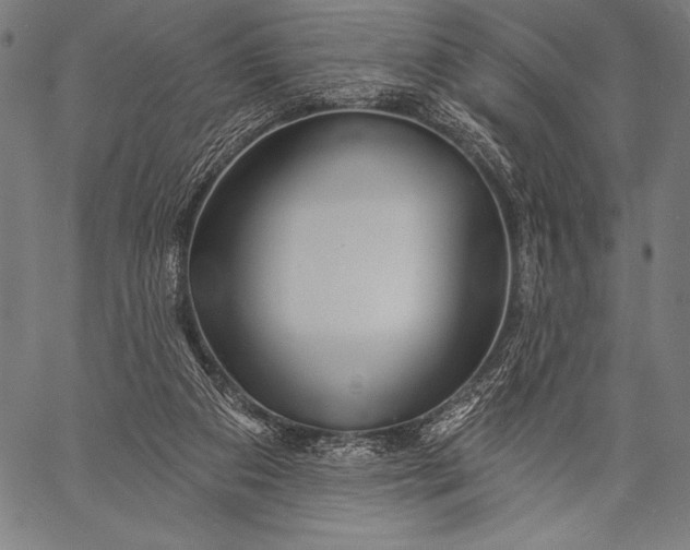 X0000057090113200509301601