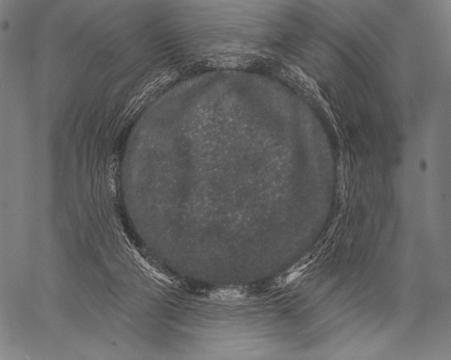 X0000057090114200509301601