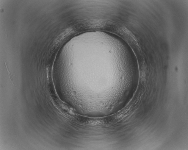 X0000057090115200509301601