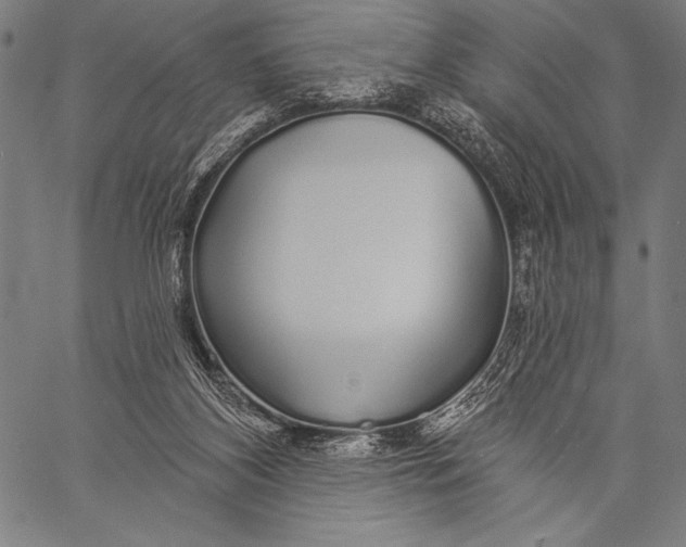 X0000057090116200509301601