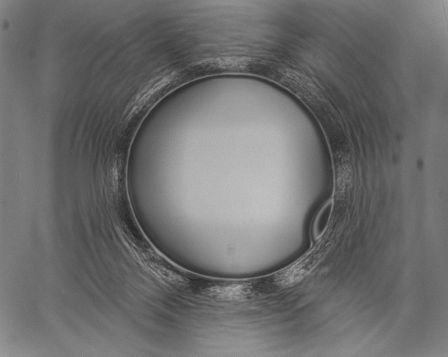 X0000057090120200509301601