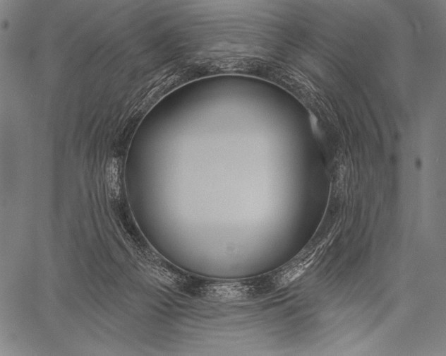 X0000057090121200509301601