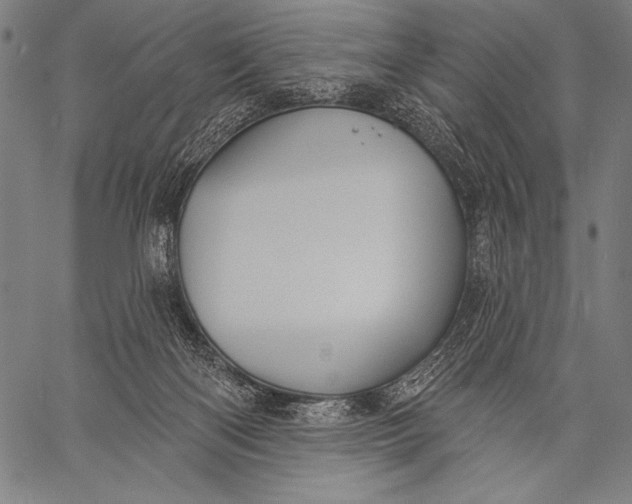 X0000057090122200509301601