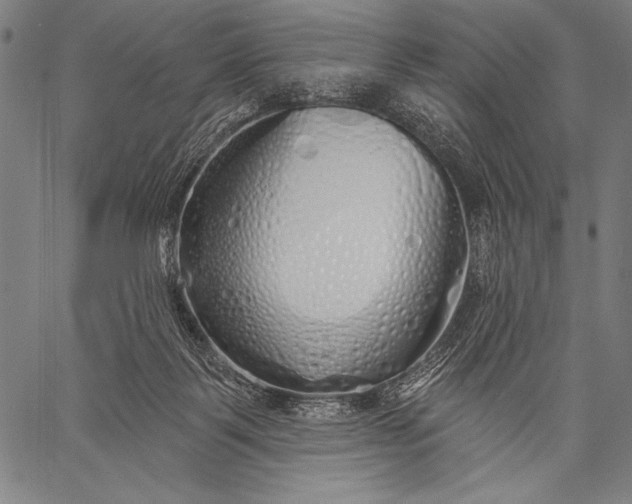 X0000057090123200509301601