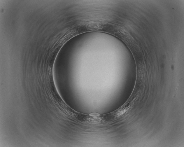 X0000057090125200509301601