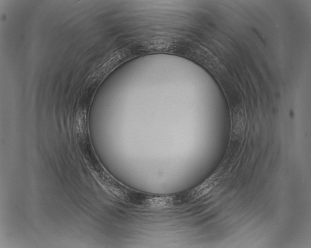 X0000057090126200509301601