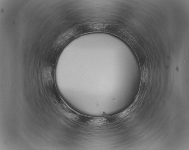 X0000057090128200509301601