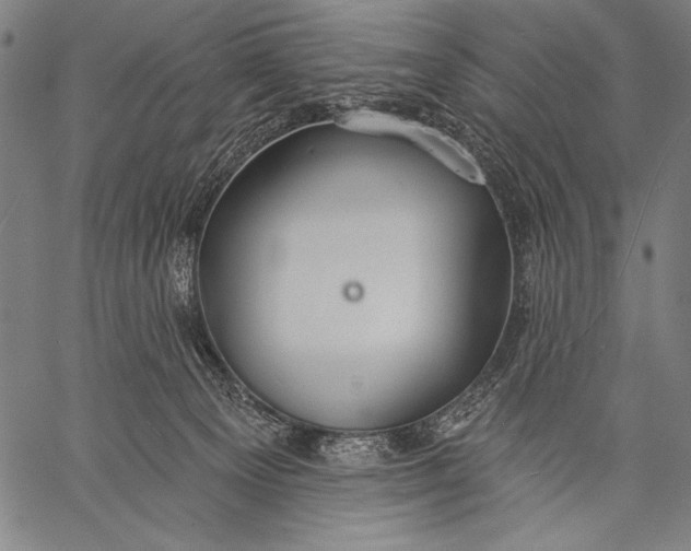 X0000057090129200509301601