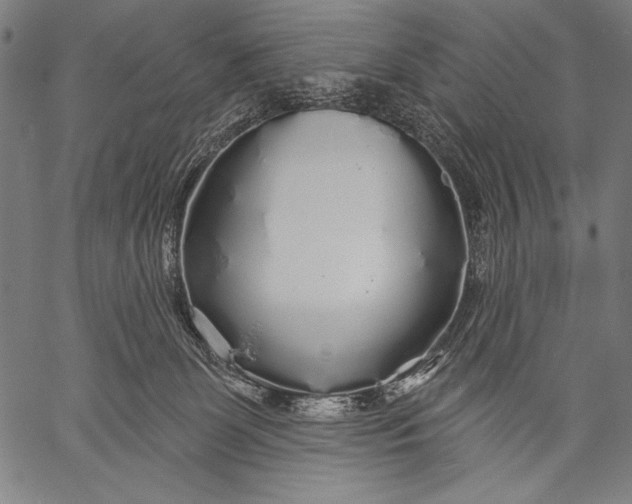 X0000057090131200509301601