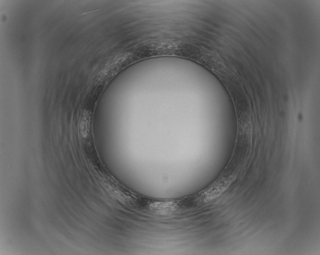 X0000057090133200509301601