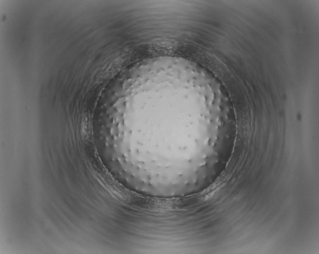 X0000057090134200509301601