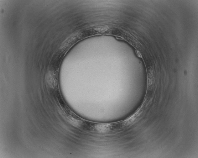 X0000057090136200509301601