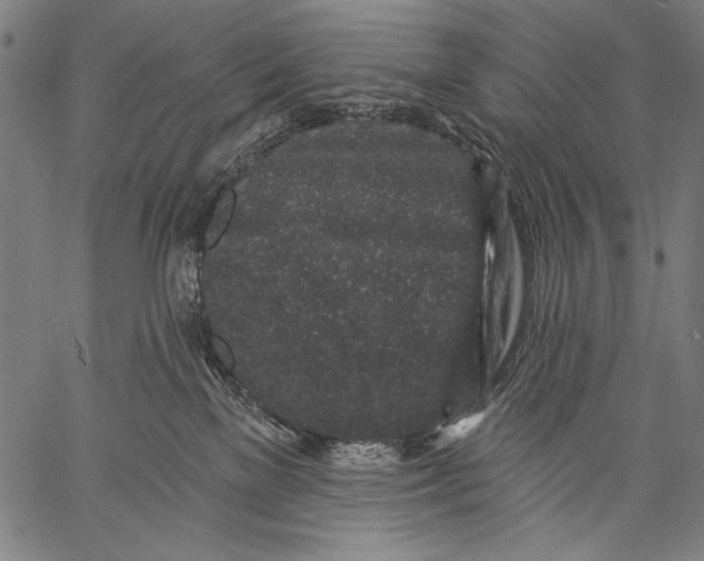 X0000057090137200509301601