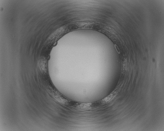 X0000057090138200509301601