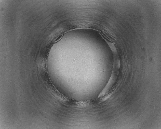 X0000057090141200509301601