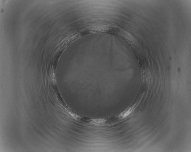 X0000057090143200509301600