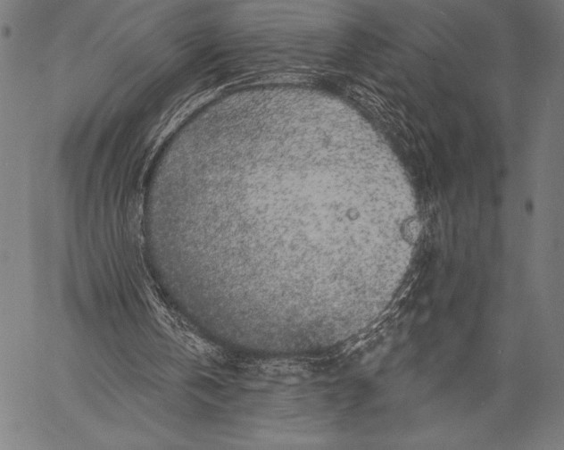 X0000057090146200509301600