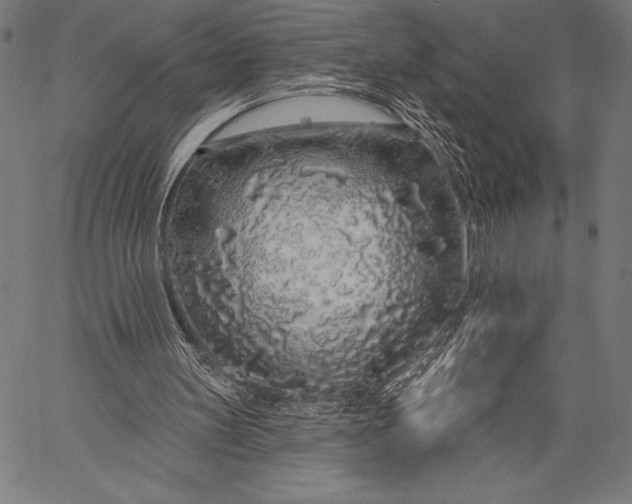 X0000057090147200509301600