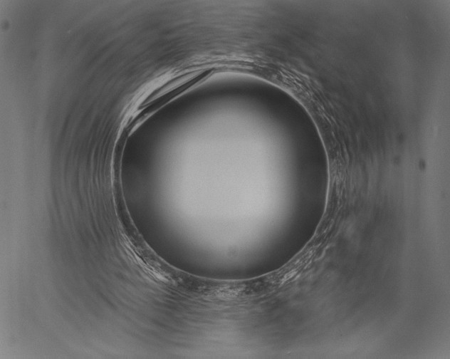 X0000057090148200509301600