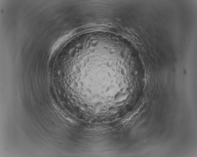 X0000057090149200509301600