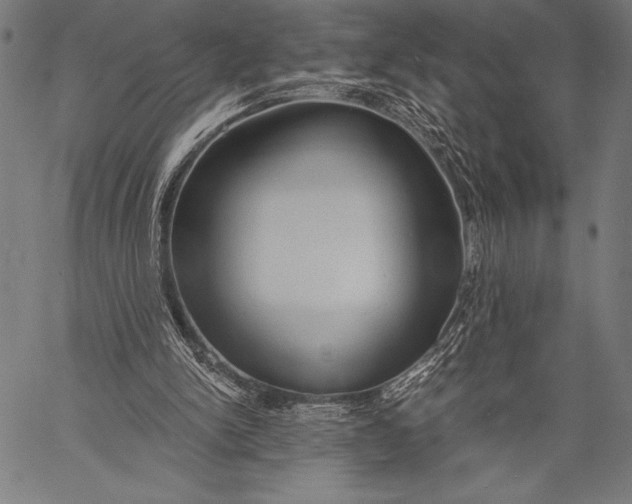 X0000057090150200509301600