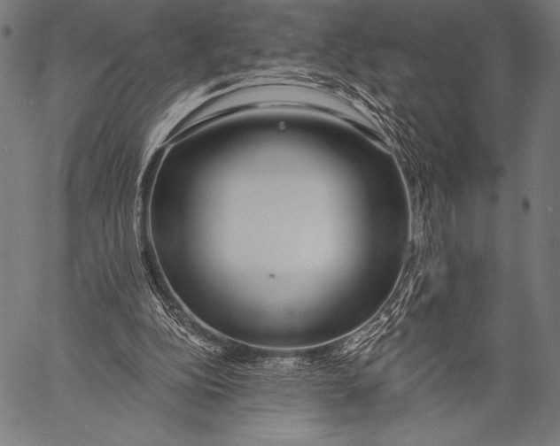 X0000057090152200509301600