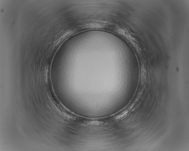 X0000057090153200509301600