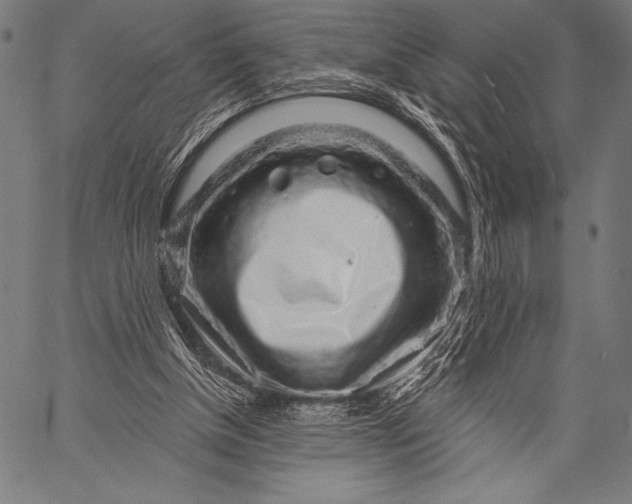 X0000057090154200509301600