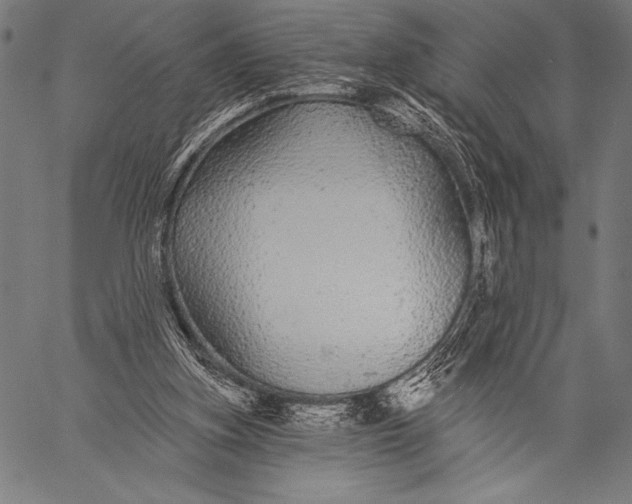 X0000057090155200509301600