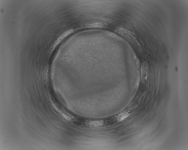 X0000057090156200509301600