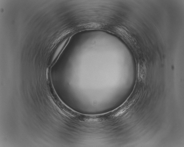 X0000057090157200509301600