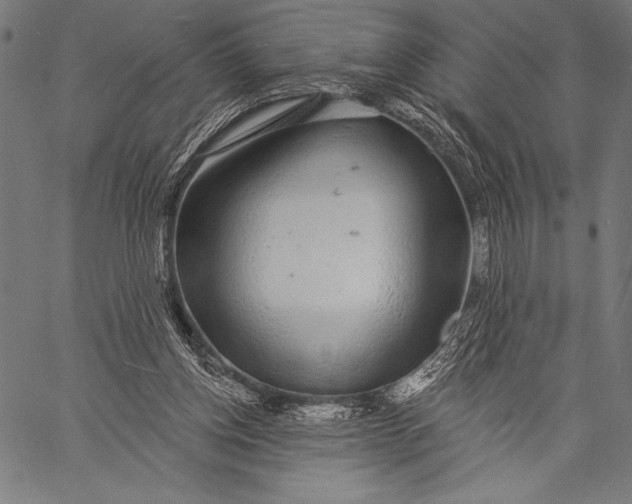 X0000057090158200509301600