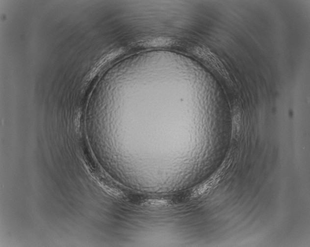 X0000057090159200509301600